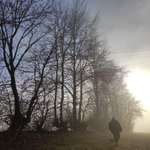 Ersteller:in Cedric Profilbild