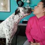 Ersteller:in Melanie Profilbild