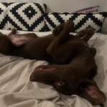 Ersteller:in Liz Profilbild