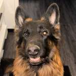 Ersteller:in Hassan Profilbild