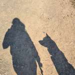 Ersteller:in Sina Profilbild