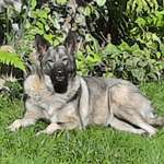 Ersteller:in Chris Profilbild