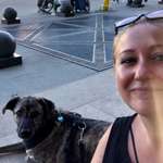 Ersteller:in K Profilbild