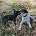 Ersteller:in Kerstin Profilbild