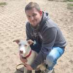 Ersteller:in Dom Profilbild