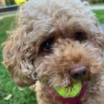 Ersteller:in Angela Profilbild