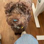 Ersteller:in Constanze Profilbild