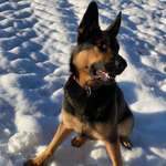 Ersteller:in Suse Profilbild