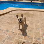 Ersteller:in Fabian Profilbild