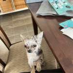 Ersteller:in Jasmin Profilbild