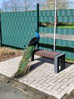 Hundeauslaufgebiet-Birgits Tiergarten-Bild