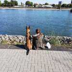 Ersteller:in Marla Profilbild