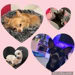 Ersteller:in Luca Profilbild