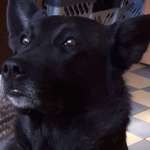 Ersteller:in Tanja Profilbild