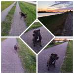 Ersteller:in Matthias Profilbild