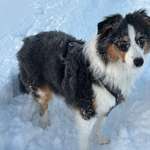 Ersteller:in Rtx Profilbild