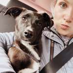 Ersteller:in Leni Profilbild