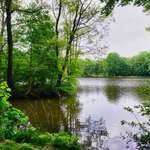 Hundeauslaufgebiet-Mühlenteich-Bild