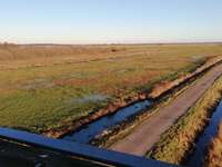 Hundeauslaufgebiet-Aussichtsturm Himmelstreppe-Bild