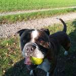 Ersteller:in Jessica Profilbild