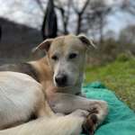 Ersteller:in Denise Profilbild