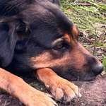 Ersteller:in Claudia Profilbild