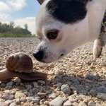 Ersteller:in Marina Profilbild