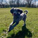 Ersteller:in Johanna Profilbild