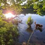 Ersteller:in Andrew Profilbild