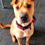 Ersteller:in Melissa Profilbild