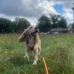 Ersteller:in Hazel Profilbild