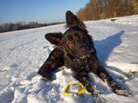 man merkt wie er jeden Tag ein bisschen mehr Auslauf braucht :ο-Beitrag-Bild