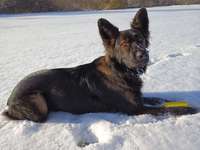 man merkt wie er jeden Tag ein bisschen mehr Auslauf braucht :ο-Beitrag-Bild