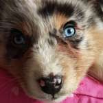 Ersteller:in Simone Profilbild