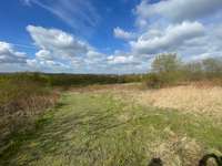 Hundeauslaufgebiet-Halde Lanstop-Bild