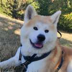 Ersteller:in Miese Profilbild