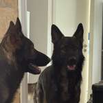 Ersteller:in Jaheim Profilbild