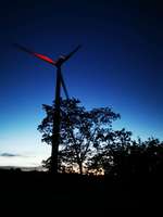 Hundeauslaufgebiet-Wahlener Platte-Bild