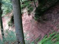 Hundeauslaufgebiet-Wahlener Platte-Bild