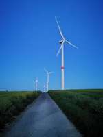 Hundeauslaufgebiet-Wahlener Platte-Bild