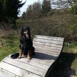 Ersteller:in Karl-Heinz Profilbild