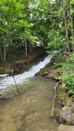 Hundeauslaufgebiet-3C Carbon Runde-Bild