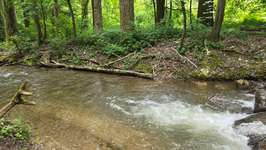 Hundeauslaufgebiet-3C Carbon Runde-Bild