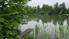 Hundeauslaufgebiet-3C Carbon Runde-Bild