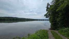 Hundeauslaufgebiet-3C Carbon Runde-Bild