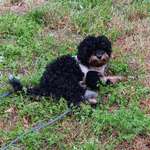 Ersteller:in Ron Profilbild