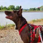 Ersteller:in Jessica Profilbild