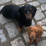 Ersteller:in Liane Profilbild