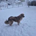 Ersteller:in Nini Profilbild