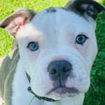 Ersteller:in Sabrina Profilbild